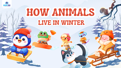 Động Vật Mùa Đông – Các Loài Động Vật Sống Thế Nào Trong Giá Lạnh?