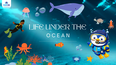Life Under the Ocean