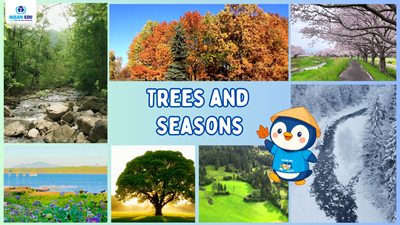 Khám Phá 4 Mùa Cùng Cây Xanh
